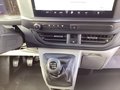 Daumennagel 10 - Ford Transit Custom 280 L1H1 LKW VA Trend LED