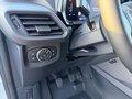 Daumennagel 17 - Ford Transit Courier 1,0l EcoBoost Trend Nutzlasterh