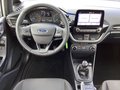 Daumennagel 6 - Ford Fiesta 1.0 EcoBoost S&S COOL&CONNECT Winter-P