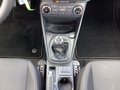 Daumennagel 10 - Ford Fiesta 1.0 EcoBoost S&S COOL&CONNECT Winter-P
