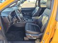 Daumennagel 13 - Ford Ranger 3,0l EcoBlue Doppelkabine Autm. Wildtrak