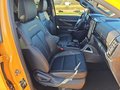 Daumennagel 14 - Ford Ranger 3,0l EcoBlue Doppelkabine Autm. Wildtrak