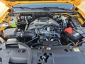 Daumennagel 16 - Ford Ranger 3,0l EcoBlue Doppelkabine Autm. Wildtrak