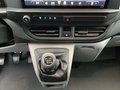 Daumennagel 11 - Ford Transit Custom 280 L1H1 LKW VA Trend LED Kamera