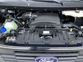 Daumennagel 16 - Ford Transit Custom 280 L1H1 LKW VA Trend LED Kamera
