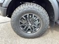 Daumennagel 5 - Ford Ranger Raptor 3,0l EcoBooost Autm. Raport-Paket