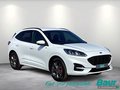 Daumennagel 2 - Ford Kuga 2.5 Duratec PHEV ST-LINE X LED NAVI Winter
