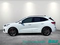 Daumennagel 3 - Ford Kuga 2.5 Duratec PHEV ST-LINE X LED NAVI Winter