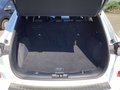 Daumennagel 19 - Ford Kuga 2.5 Duratec PHEV ST-LINE X LED NAVI Winter