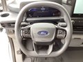 Daumennagel 8 - Ford Transit Custom 320 L1H1 LKW VA PHEV Trend Klima