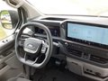 Daumennagel 10 - Ford Transit Custom 320 L1H1 LKW VA PHEV Trend Klima