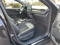 Daumennagel 13 - Ford Kuga 2.5 Duratec PHEV ST-LINE X Navi LED Pano