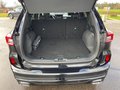 Daumennagel 19 - Ford Kuga 2.5 Duratec PHEV ST-LINE X Navi LED Pano