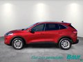 Daumennagel 3 - Ford Kuga 2.5 Duratec PHEV TITANIUM X AHK Navi SHZ