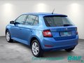 Daumennagel 4 - Skoda Fabia 1.0 TSI Ambition Rückfahrkamera Klima