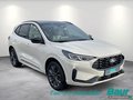 Daumennagel 2 - Ford Kuga 2.5 Duratec PHEV SOUND EDITION LED Pano
