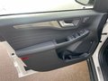 Daumennagel 17 - Ford Kuga 2.5 Duratec PHEV SOUND EDITION LED Pano