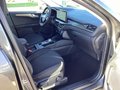 Daumennagel 12 - Ford Kuga 2.5 Duratec FHEV TITANIUM 360° Kamera