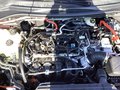 Daumennagel 14 - Ford Kuga 2.5 Duratec FHEV TITANIUM 360° Kamera