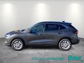 Daumennagel 3 - Ford Kuga 2.5 Duratec FHEV TITANIUM 360° Kamera