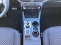 Daumennagel 10 - Ford Kuga 2.5 Duratec FHEV TITANIUM 360° Kamera