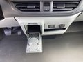 Daumennagel 13 - Ford e-Transit Custom 320 L1H1 LKW HA Trend AHK Navi