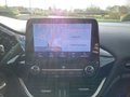 Daumennagel 7 - Ford Fiesta 1.0 EcoBoost S&S TITANIUM NAVI LED