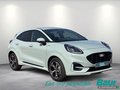 Daumennagel 2 - Ford Puma 1.0 EcoBoost Hybrid Aut. ST-LINE Winter-P