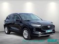 Daumennagel 2 - Ford Kuga 2.5 Duratec FHEV TITANIUM AHK 360° Kamera