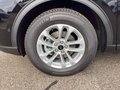Daumennagel 5 - Ford Kuga 2.5 Duratec FHEV TITANIUM AHK 360° Kamera