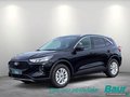 Daumennagel 1 - Ford Kuga 2.5 Duratec FHEV TITANIUM AHK 360° Kamera