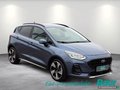 Daumennagel 2 - Ford Fiesta 1.0 EcoBoost Hybrid S&S Aut. ACTIVE NAVI