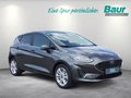 Daumennagel 2 - Ford Fiesta 1,0 EcoBoost TITANIUM X Winter Komfort