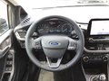 Daumennagel 7 - Ford Fiesta 1,0 EcoBoost TITANIUM X Winter Komfort