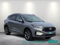 Daumennagel 2 - Ford Kuga 2.5 Duratec PHEV ST-LINE Winter-Paket LED