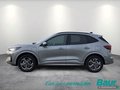Daumennagel 3 - Ford Kuga 2.5 Duratec PHEV ST-LINE Winter-Paket LED