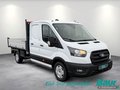 Daumennagel 2 - Ford Transit 350 L3 VA Trend 3-Seiten-Kipper AHK