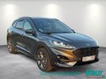 Daumennagel 2 - Ford Kuga 2.5 Duratec PHEV ST-LINE X Winter-Paket