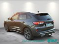 Daumennagel 4 - Ford Kuga 2.5 Duratec PHEV ST-LINE X Winter-Paket