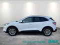 Daumennagel 3 - Ford Kuga 2.5 Duratec PHEV TITANIUM X Winter-Paket