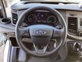 Daumennagel 9 - Ford Transit 350 L3H3 Lkw VA Trend Hegla Glasstech