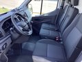 Daumennagel 14 - Ford Transit 350 L3H3 Lkw VA Trend Hegla Glasstech