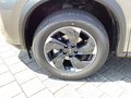 Daumennagel 5 - Nissan X-Trail 1.5 VC-T Mild-Hybrid Xtronic N-Connecta