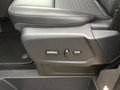 Daumennagel 14 - Ford Tourneo Custom 320 L1H1 VA Autm. Sport (V362)