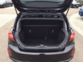 Daumennagel 15 - Ford Fiesta 1.0 EcoBoost Hybrid S&S ST-LINE NAVI LED