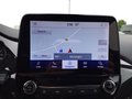 Daumennagel 10 - Ford Fiesta 1.0 EcoBoost Hybrid S&S ST-LINE NAVI LED