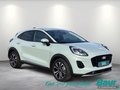 Daumennagel 2 - Ford Puma 1.0 EcoBoost Hybrid Aut. TITANIUM Matrix