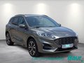 Daumennagel 2 - Ford Kuga 2.5 Duratec PHEV ST-LINE X