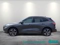 Daumennagel 3 - Ford Kuga 2.5 Duratec PHEV ST-LINE X