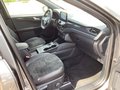 Daumennagel 7 - Ford Kuga 2.5 Duratec PHEV ST-LINE X